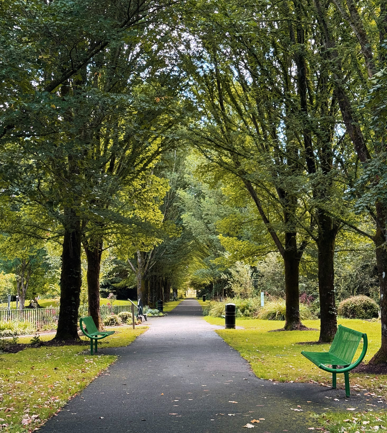 Image of the Calm Path Team